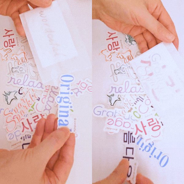 Random Pack Summer Edition (Save $6 & Free Gift)